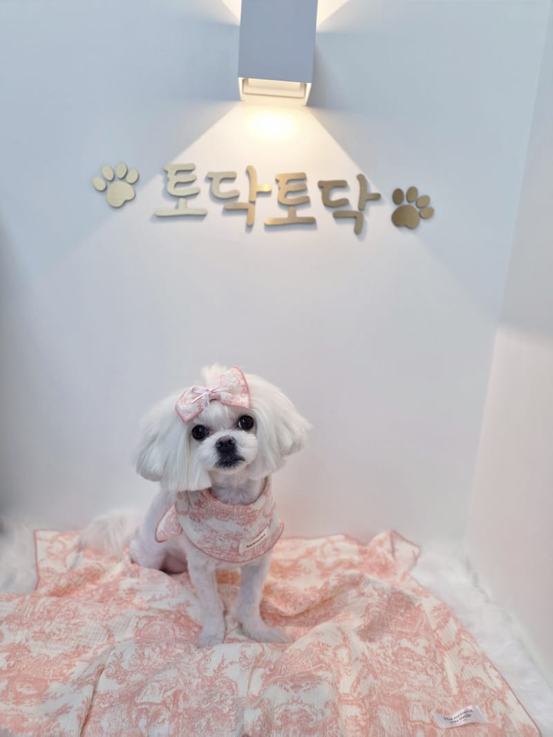업체 정보 이미지 1