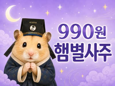 햄별사주 사주 체험단