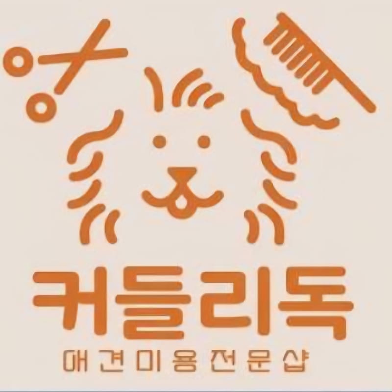 [강원 원주시] 원주  애견미용실 커들리독에서소중한 반려견과 함께해주실 무료 체험단을 모집합니다