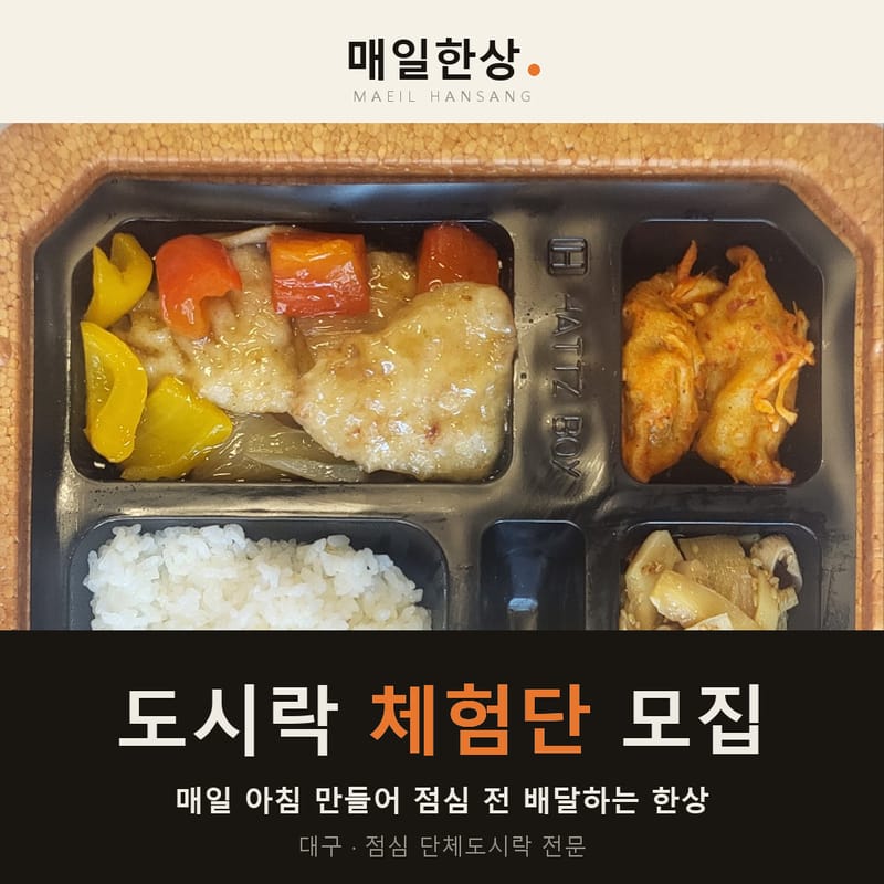 [대구 동구] 대구 월 정기도시락 맛집