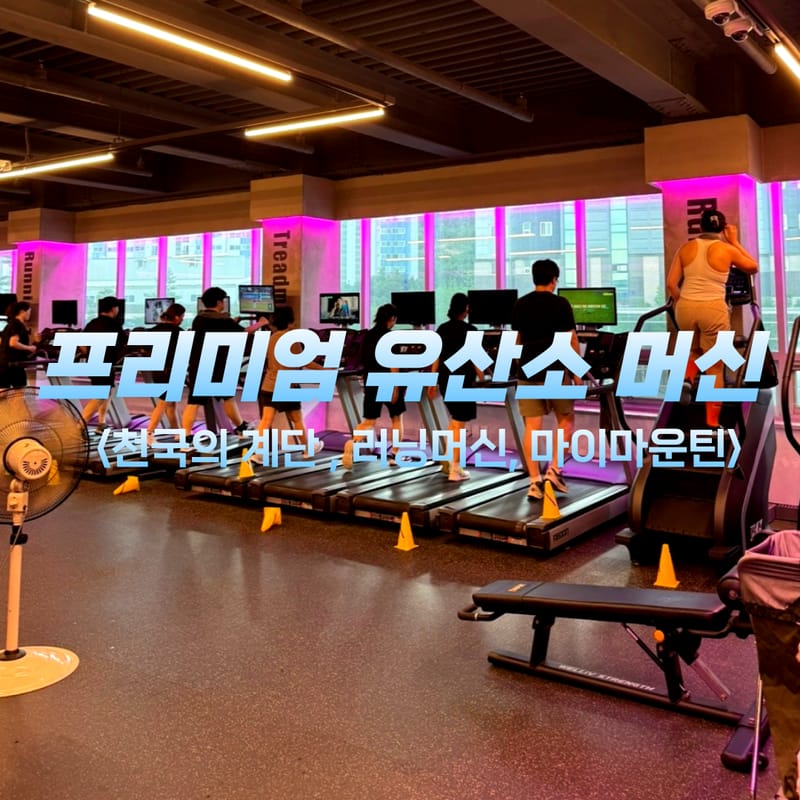 [대구 달성군] 레드짐 서재점 무료 회원권 체험단 모집
