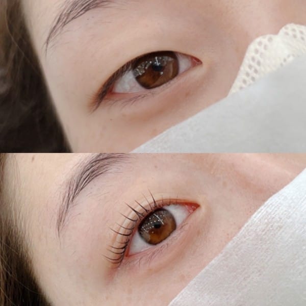 [강릉 회산] 쏭눈썹