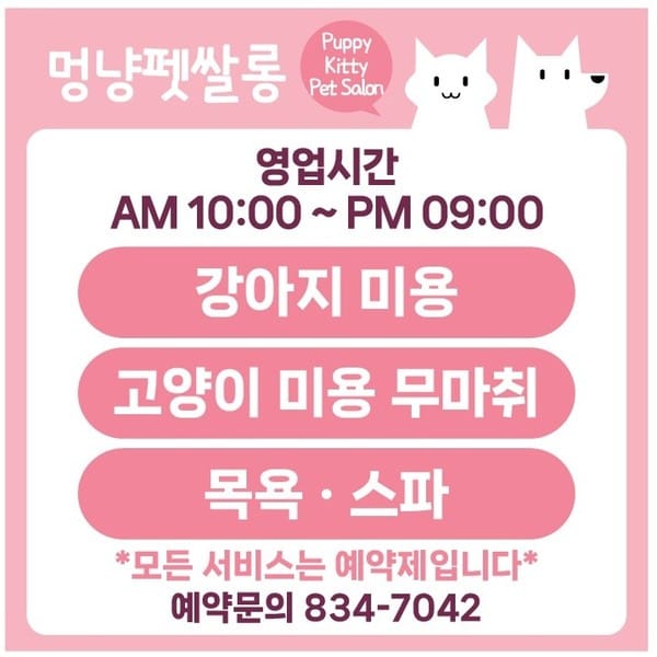 [인천 연수구] 멍냥펫쌀롱