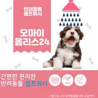 올리스24 부산남구점 로고