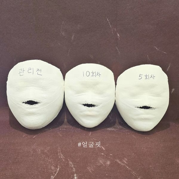 [충남 천안] 얼굴핏