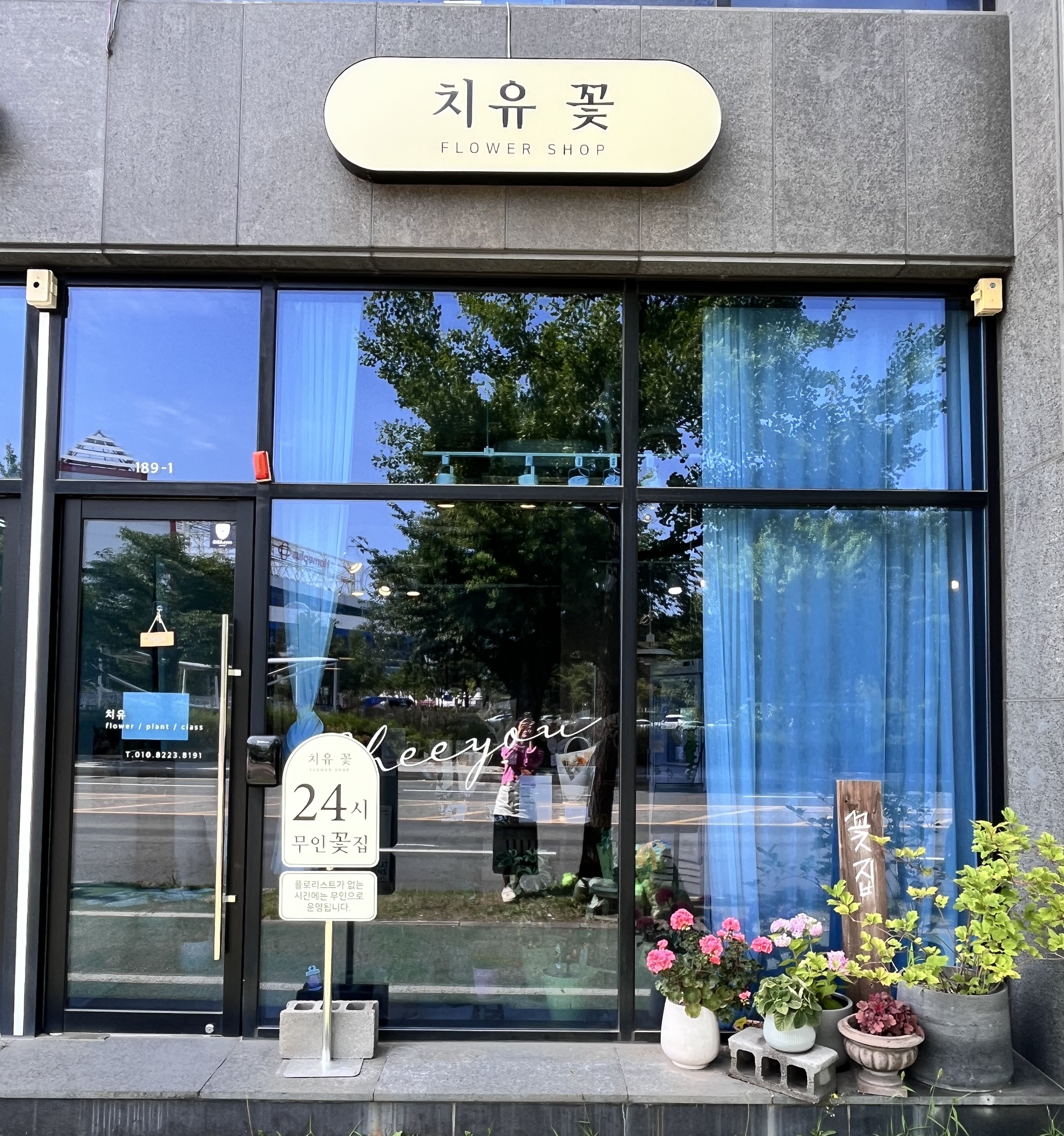 치유꽃 사진 3