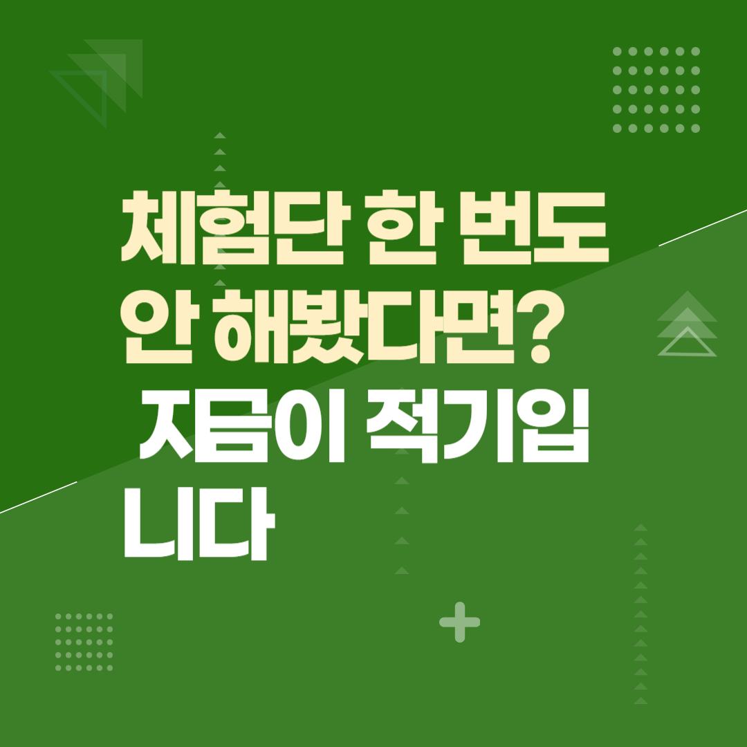 체험단 한 번도 안 해봤다면? 지금이 적기입니다