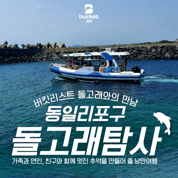 [제주 서귀포] 동일리돌고래탐사