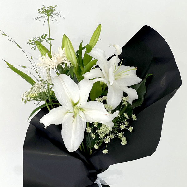 [서울 종로구] 리오라플라워