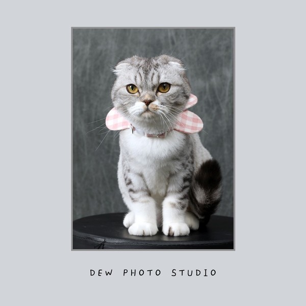 [광주 북구] 듀사진관