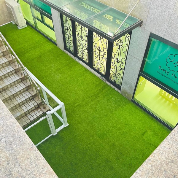 [경기 성남] 퍼피플러피 반려견 유치원/호텔/놀이방